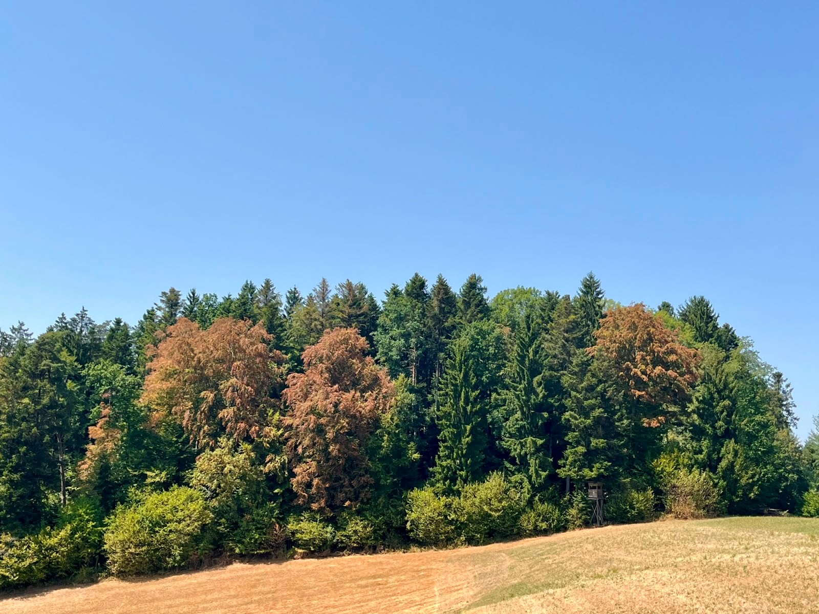 Aufhebung Feuerverbot